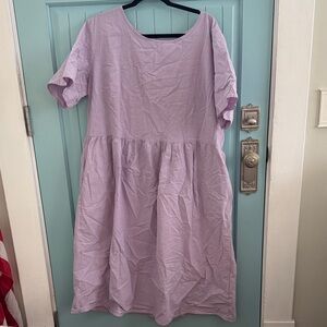 AND Light Purple Garment